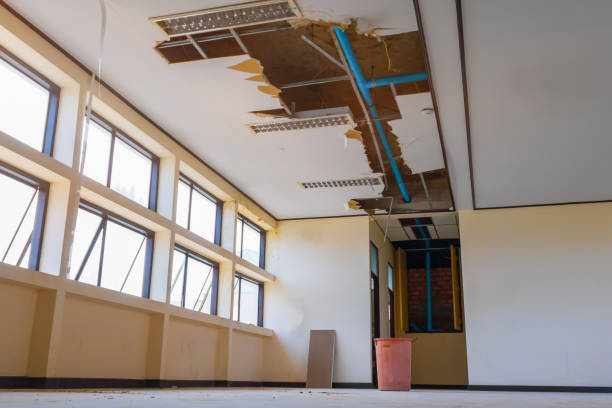 Best Mold removal after water damage  in Ramblewood, NJ