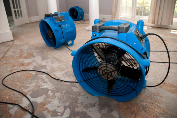Best Flood restoration services  in Ramblewood, NJ