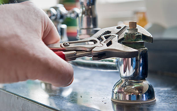 Best Mold removal after water damage  in Ramblewood, NJ