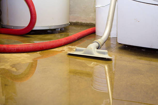 Best Water damage restoration near me  in Ramblewood, NJ