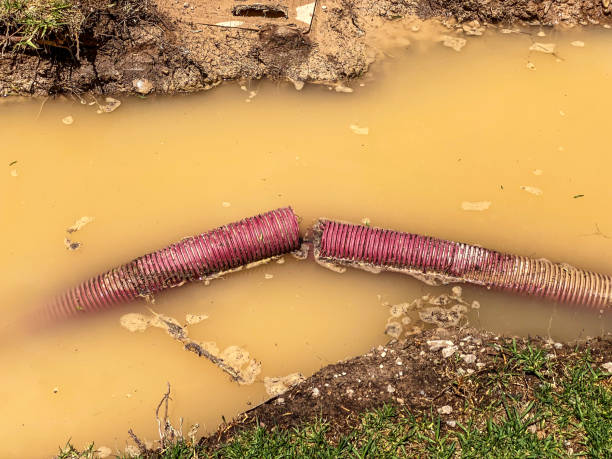 Best 24-hour water damage restoration  in Ramblewood, NJ