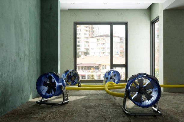 Best Sewage cleanup and water damage restoration  in Ramblewood, NJ