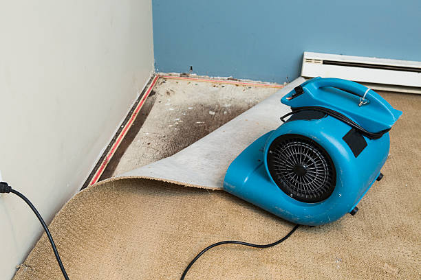  Ramblewood, NJ Water damage restoration Pros